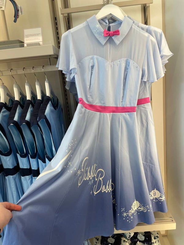 Cinderella/fairy godmother jurk