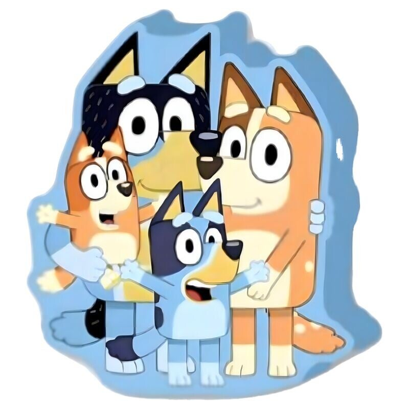 3D kussen  BLUEY