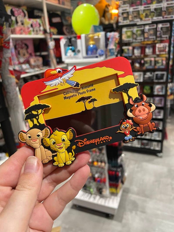 Magneet foto kader Simba