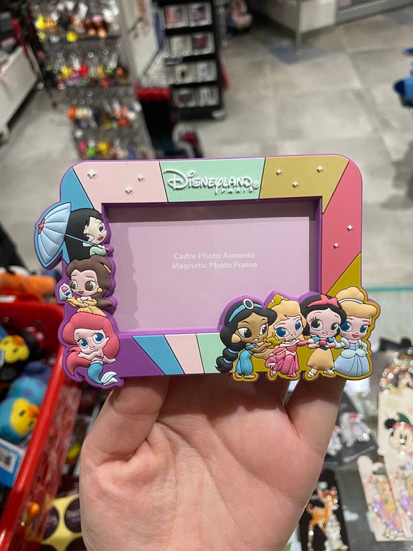Magneet fotokader prinsessen