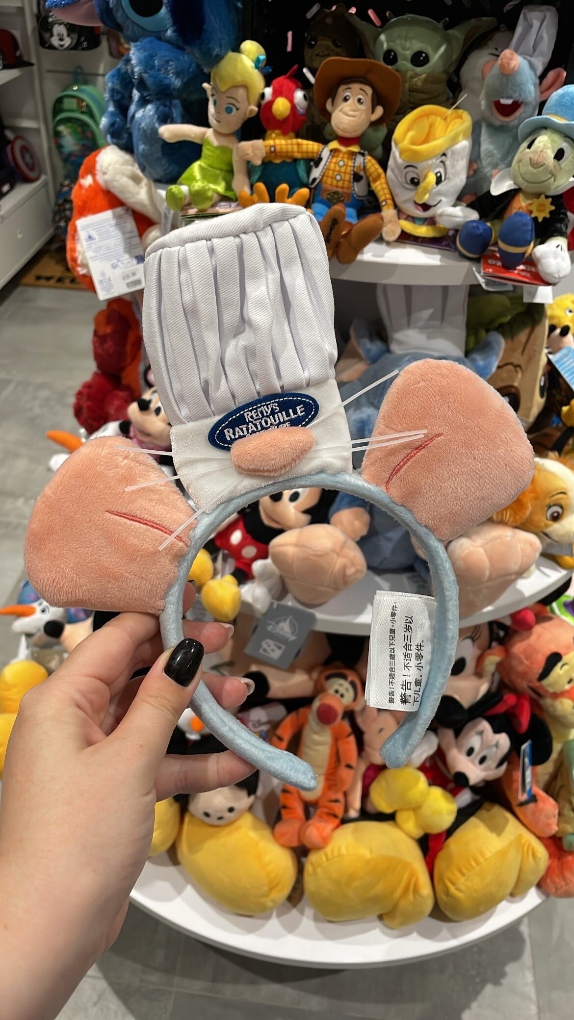 Oren Remy Ratatouille Disneyland