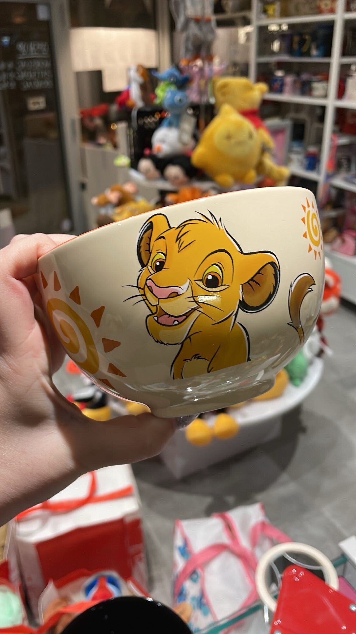 Kom Disneyland parijs Simba leeuwenkoning lion king