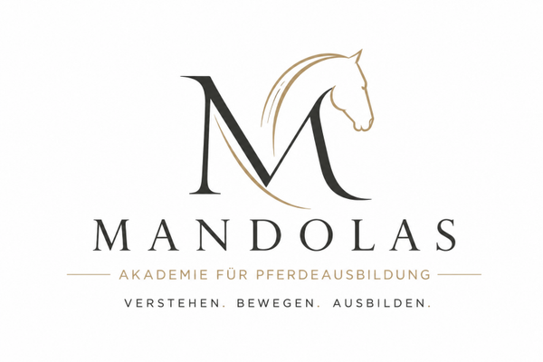 Workshop Voranmeldung "Verstehen statt korrigieren"