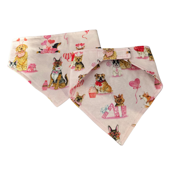 Velcro Closure Valentine White Medium