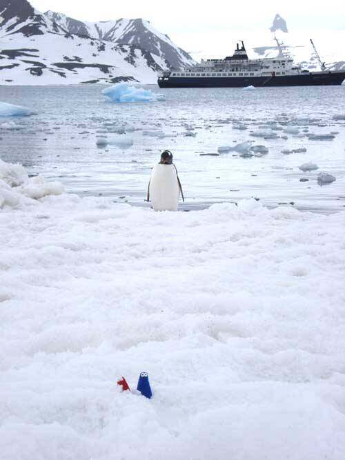 ester_antartica.jpg