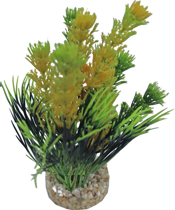 Sydeco kunststof plant Fiesta Colour, 16 cm