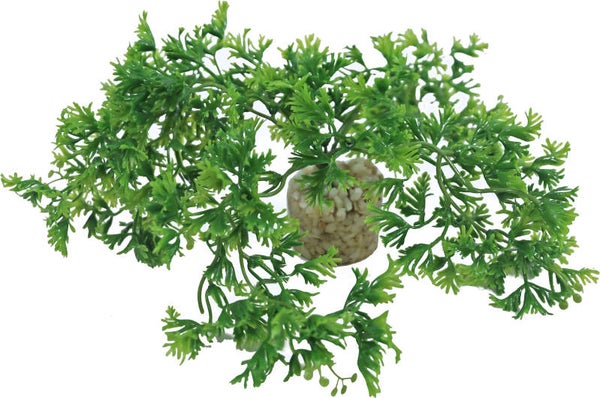 Sydeco kunststof plant Tropical Moss, 7 cm