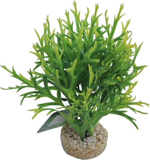 Sydeco kunststof plant Waterfern large, 18 cm