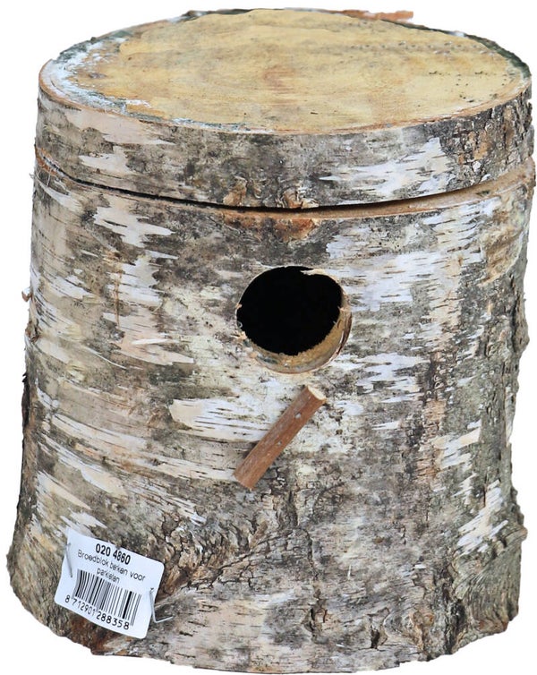 Boon broedblok berkenhout parkieten