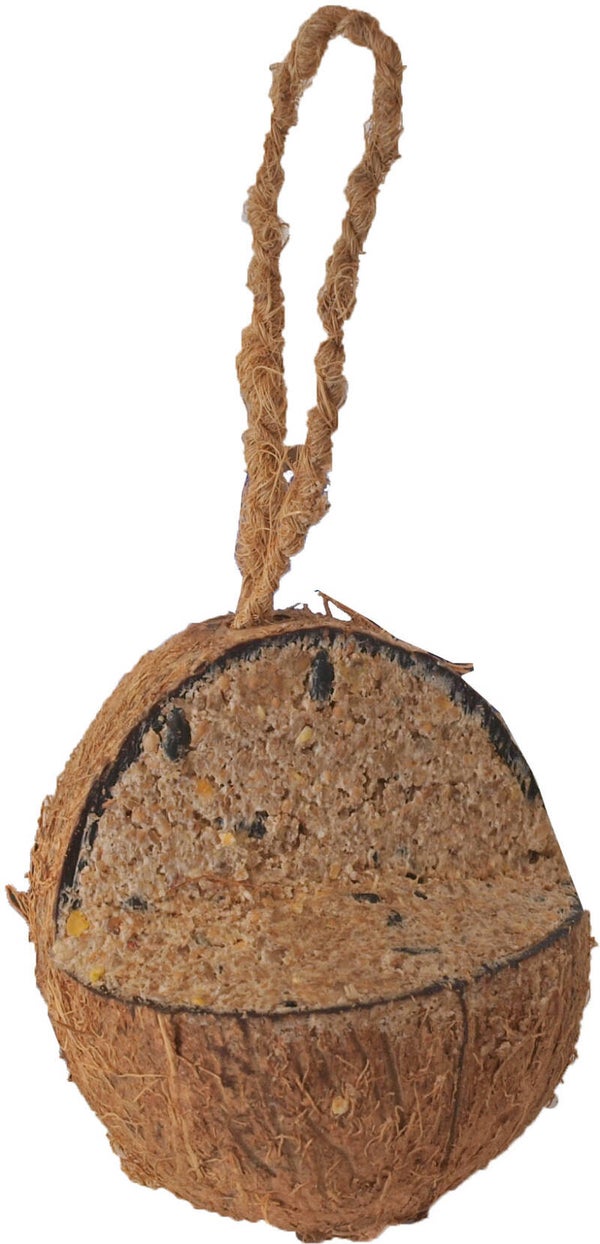 Kokosnoot gevuld 3/4 model