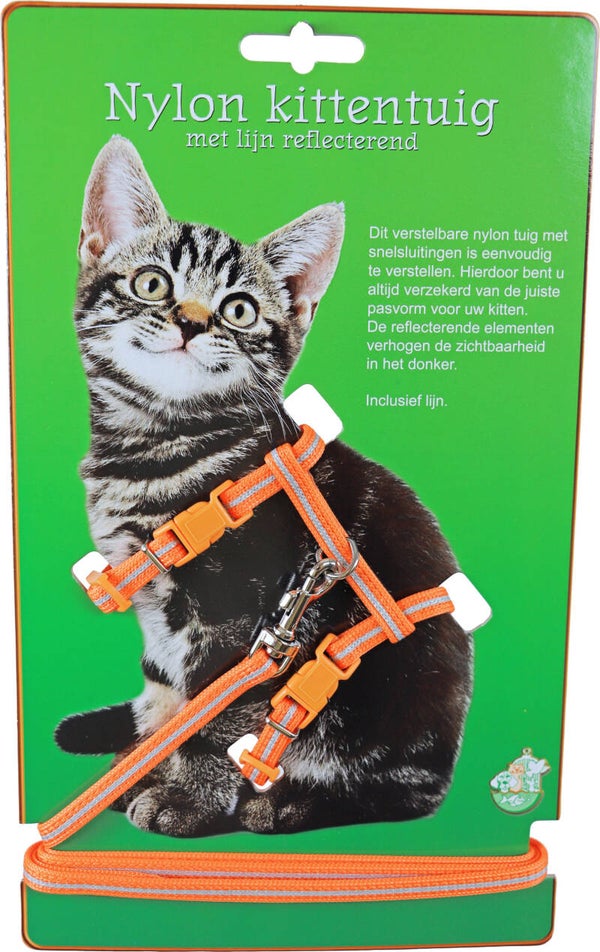 Boon nylon kittentuig met lijn reflecterend Oranje