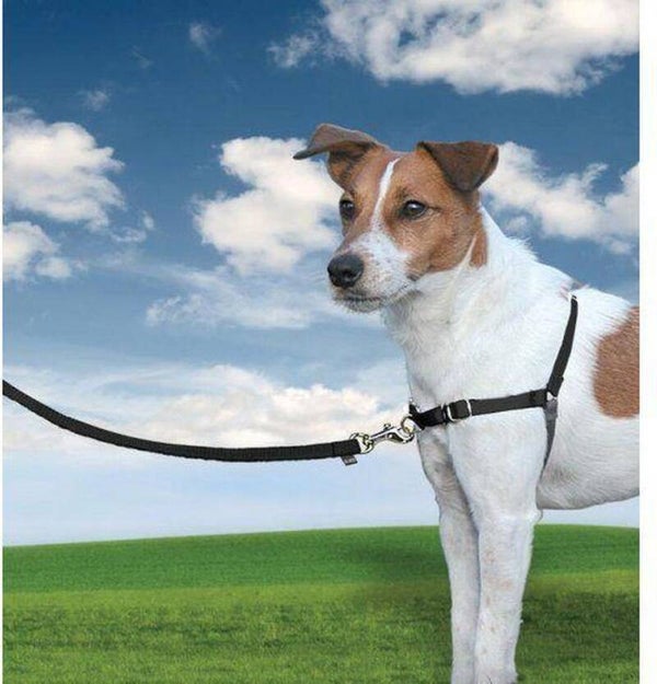 Petsafe Easy Walk Anti-Trektuig Zwart Small