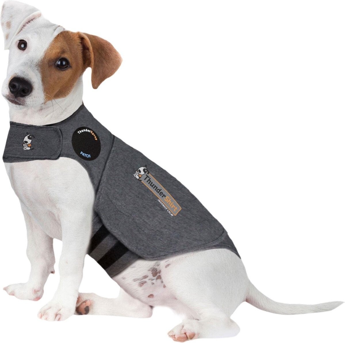Thundershirt Grijs