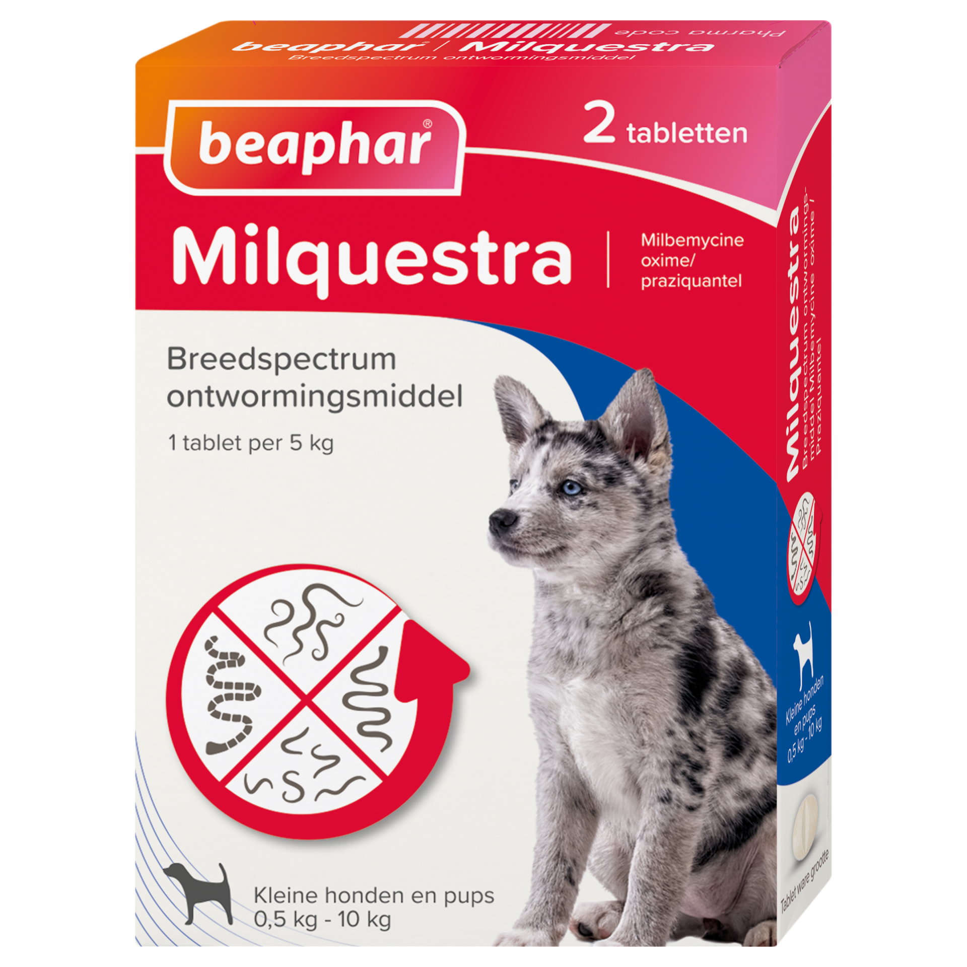 Beaphar Milquestra ontwormingsmiddel kleine hond / pup 2 tabletten