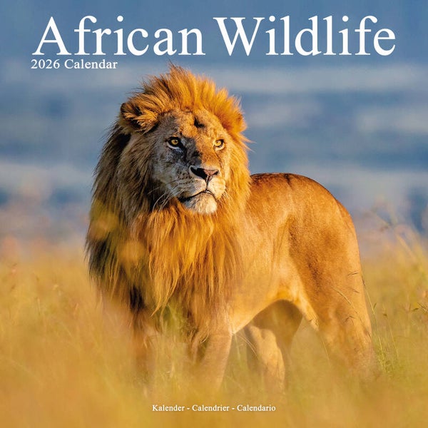 Kalender African Wildlife