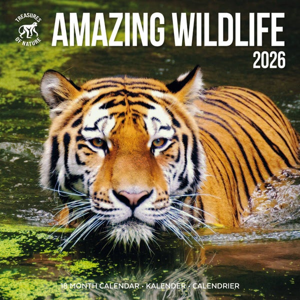 Kalender Amazing Wildlife WWF