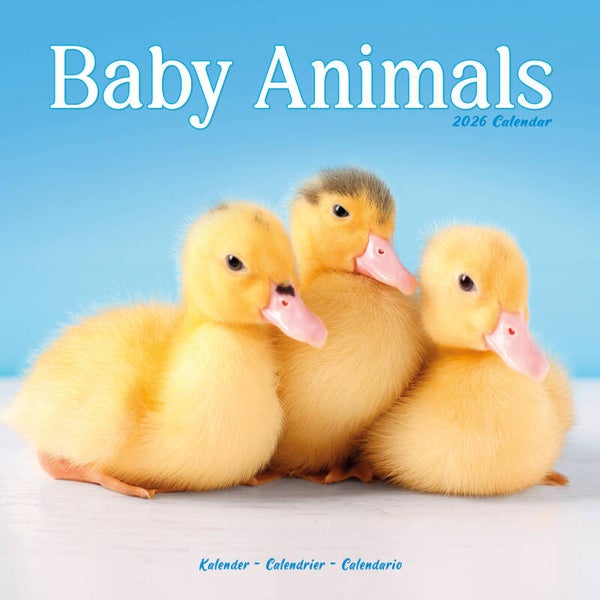 Kalender Baby Animals