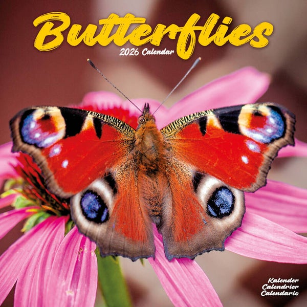 Kalender Butterflies