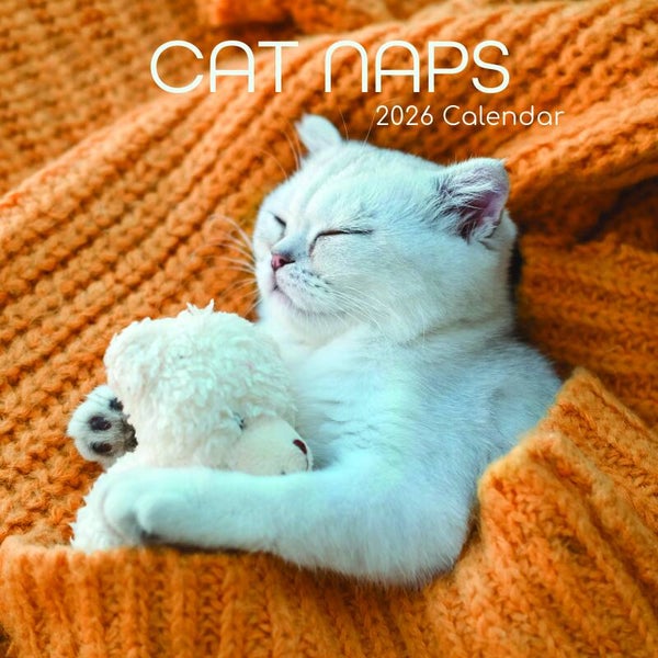 Kalender Cat Naps