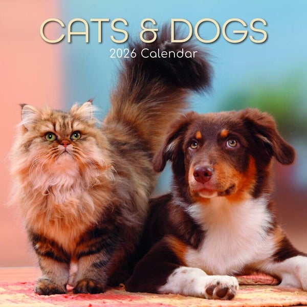 Kalender Cats & Dogs