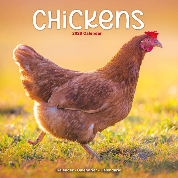 Kalender Chickens