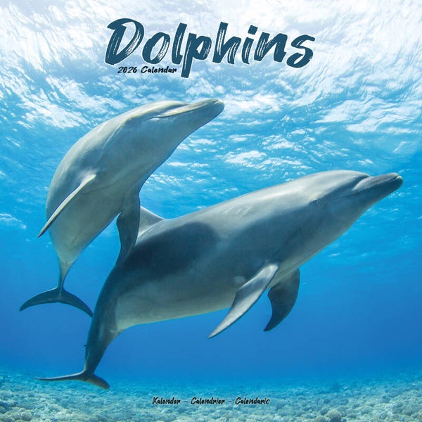 Kalender Dolphins