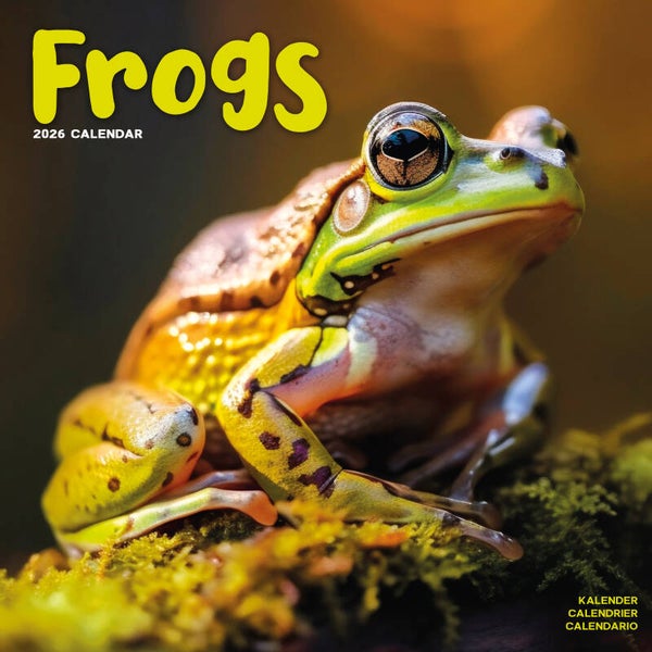 Kalender Frogs