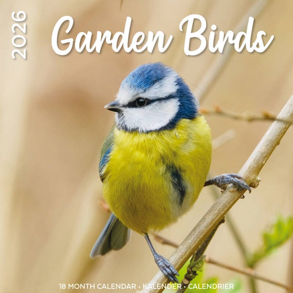 Kalender Garden Birds
