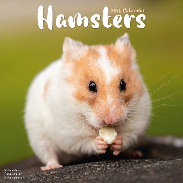 Kalender Hamsters