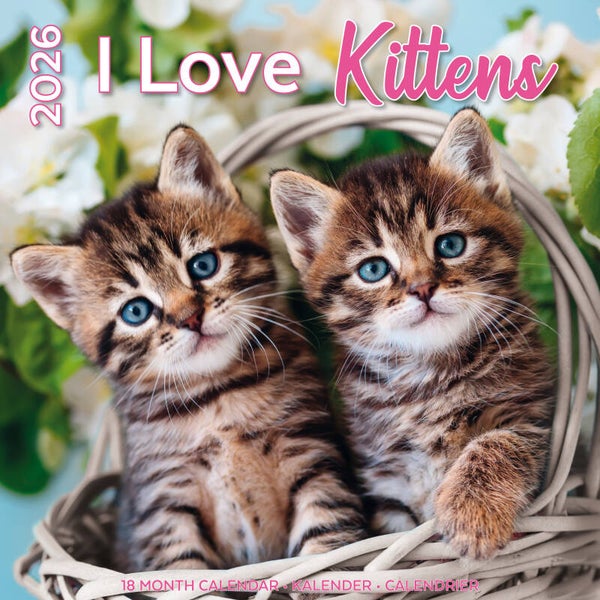 Kalender Kittens I Love