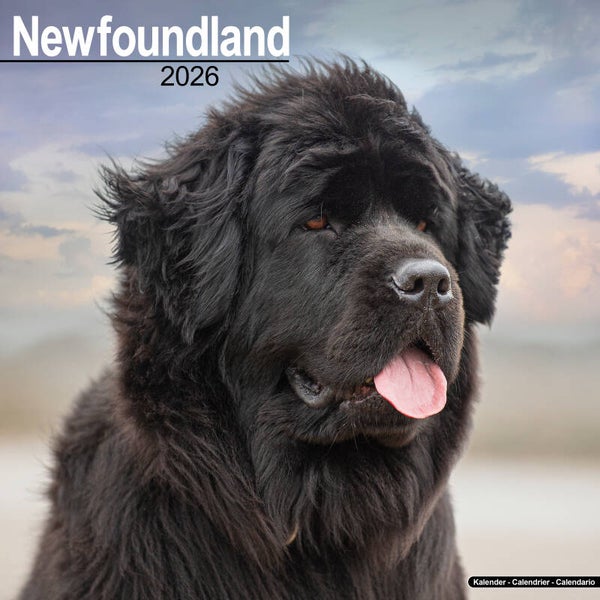 Kalender Newfoundlands