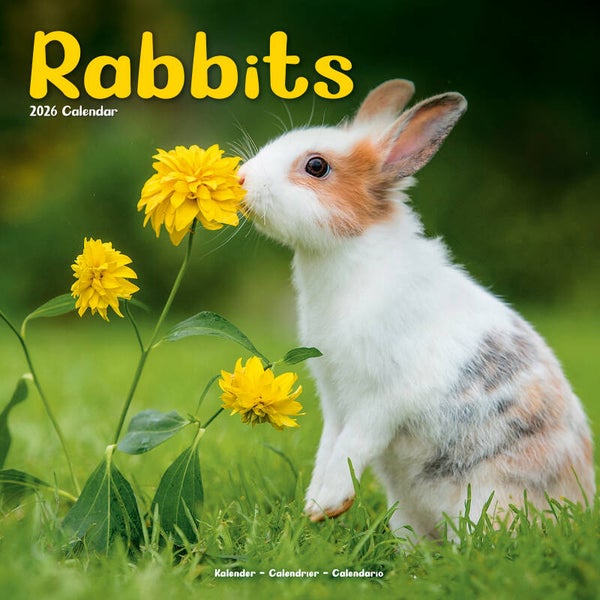 Kalender Rabbits