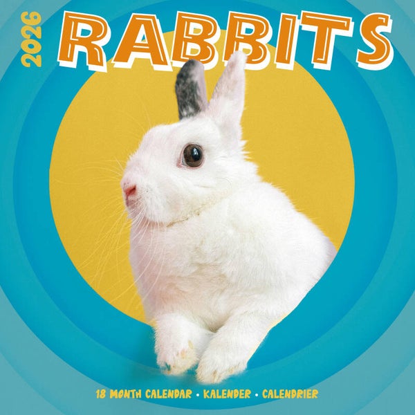 Kalender Rabbits Studio
