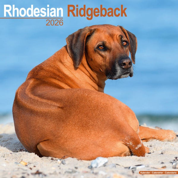 Kalender Rhodesian Ridgebacks