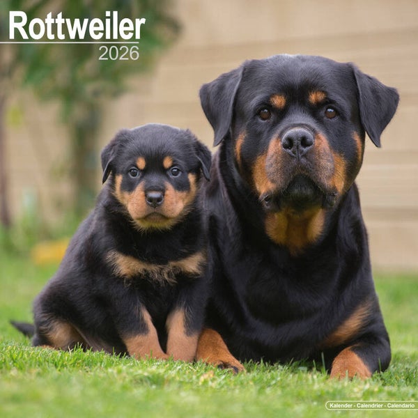 Kalender Rottweilers