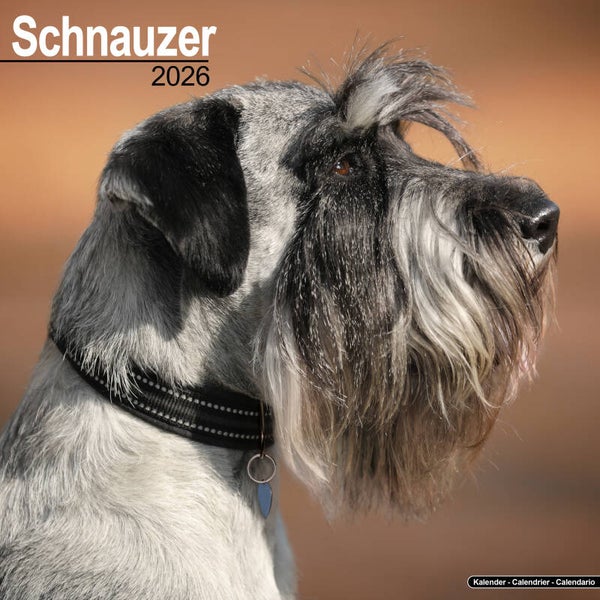 Kalender Schnauzers