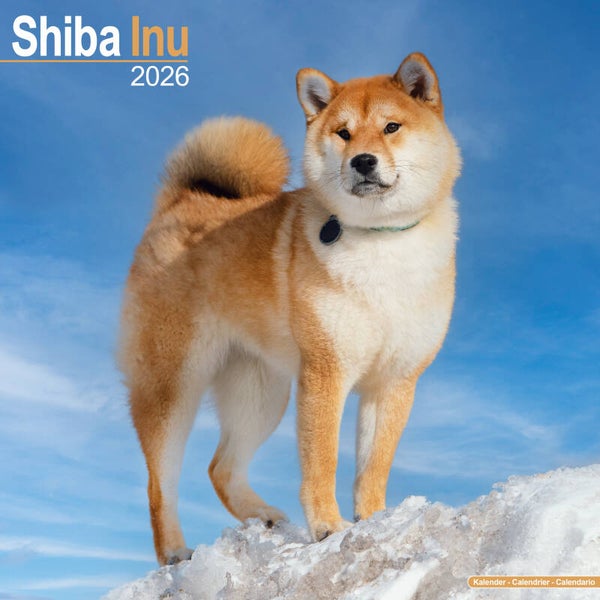 Kalender Shiba Inu