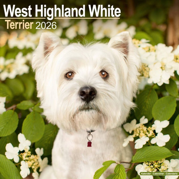 Kalender West Highland Terriers