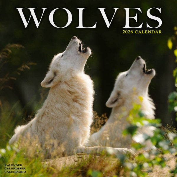Kalender Wolves