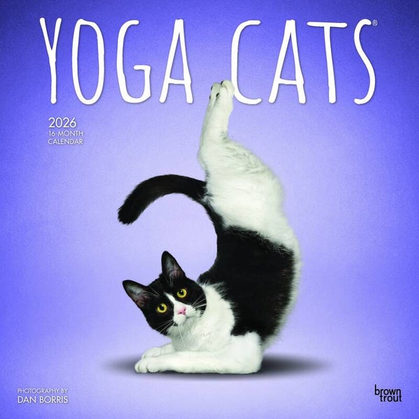 Kalender Yoga Cats