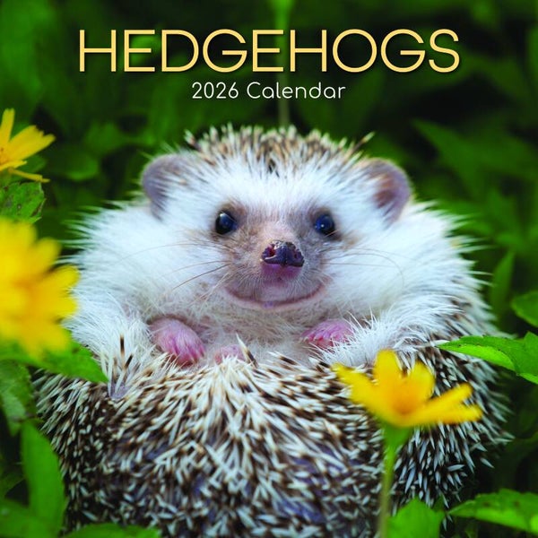 Kalender Hedgehogs