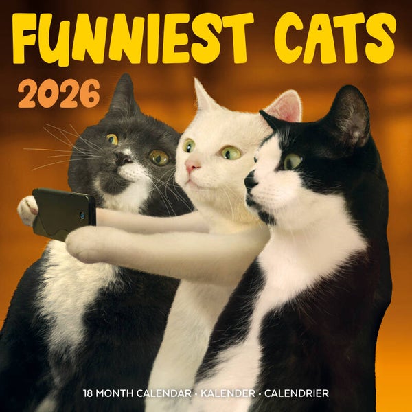 Kalender Funniest Cats