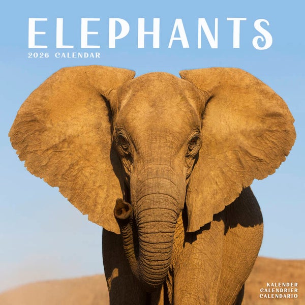 Kalender Elephants