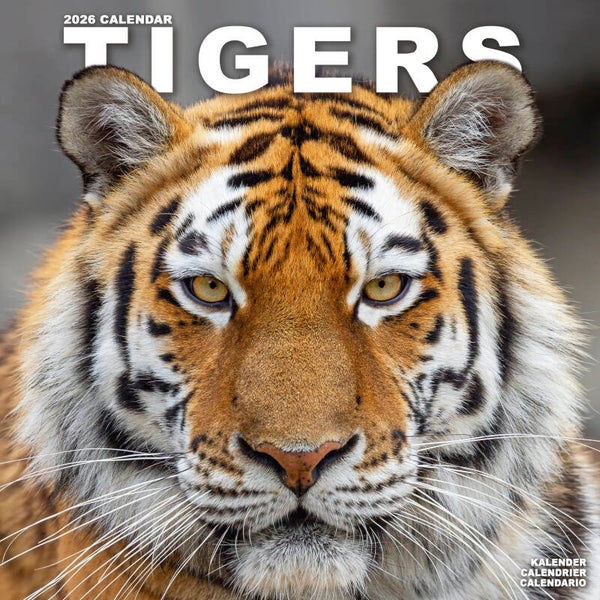 Kalender Tigers