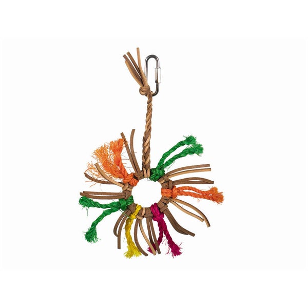 Nobby Lea's Little Star