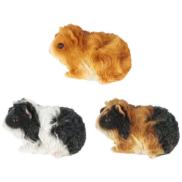 Cavia
