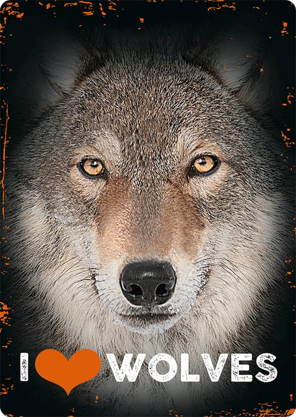 I Love Wolves