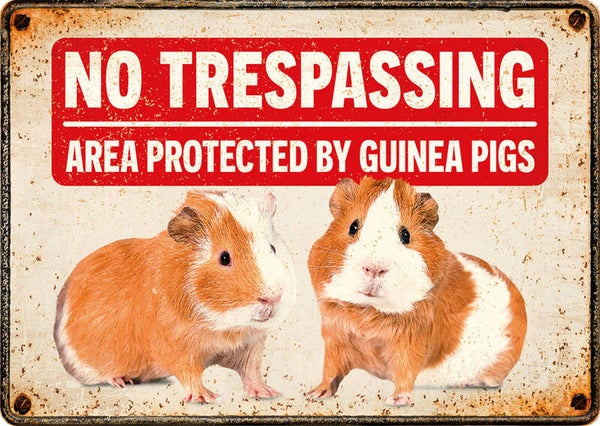 No Trespassing Guinea Pigs
