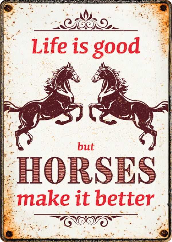 Life is good Horses make it better