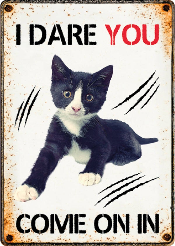 I Dare you come on in